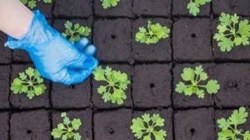 LED propagation lights increase propagation success rates	