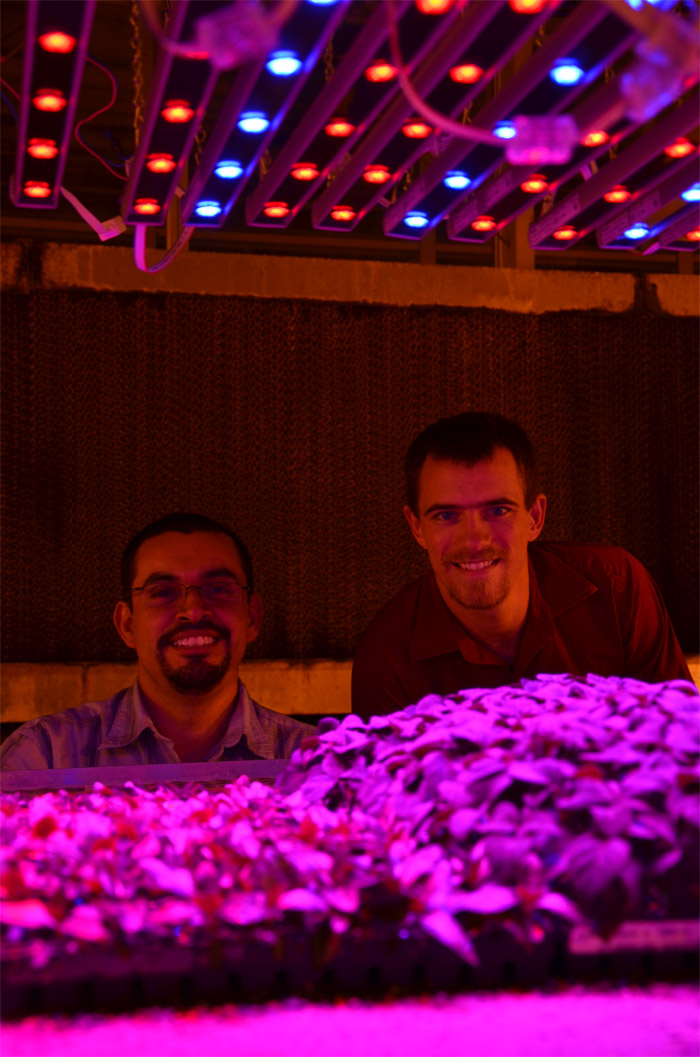 Two men are pleased with the Philips LED propagation lights above the crops at Purdue University