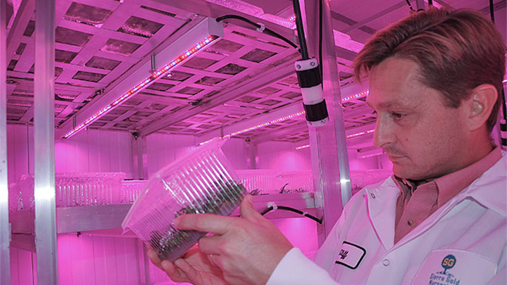 The lab of Sierra Gold Nurseries lit up with GreenPower LEDs by Philips Lighting