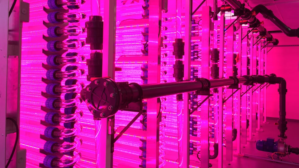 Philips lighting provides LED lighting for new sustainable algae