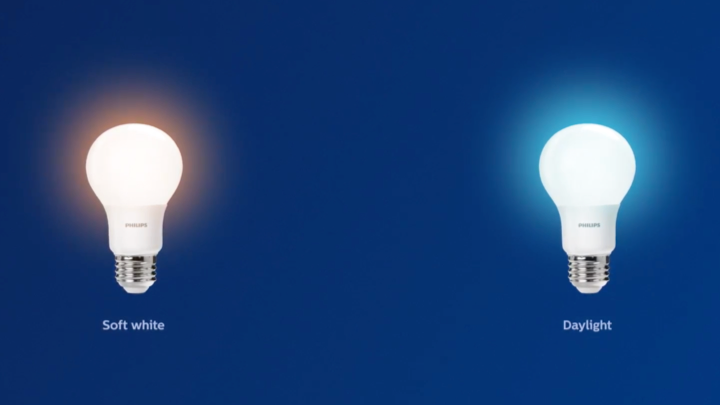 Comparing a soft white LED bulb and a bright daylight LED bulb	
