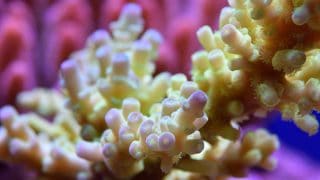 Quality & reliability