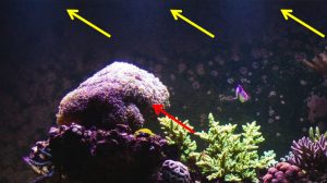 Light with a large angle