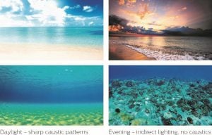 Natural light patters