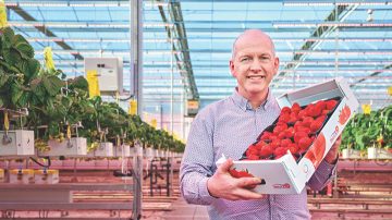 Brookberries director, Marcel Dings