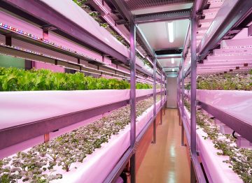 Lower risk of food contaminants