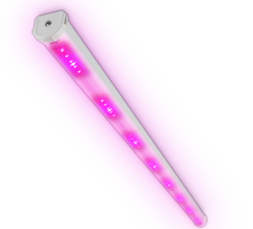 Philips GreenPower Led production module