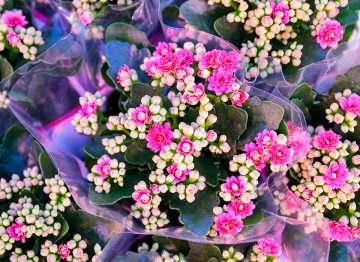 Faster time to market