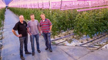 Jami VOF's three entrepreneurs at Van nature Jami greenhouse lit by Philips lighting