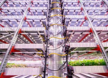 GrowUp Urban Farms | Philips lighting